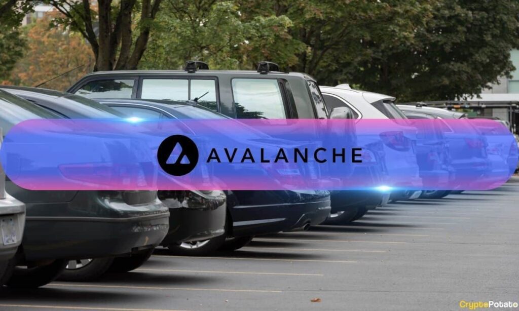 Avalanche Cars.jpg