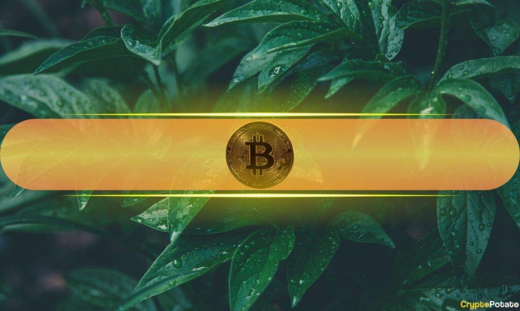 Bitcoin Green Cover 2.jpg