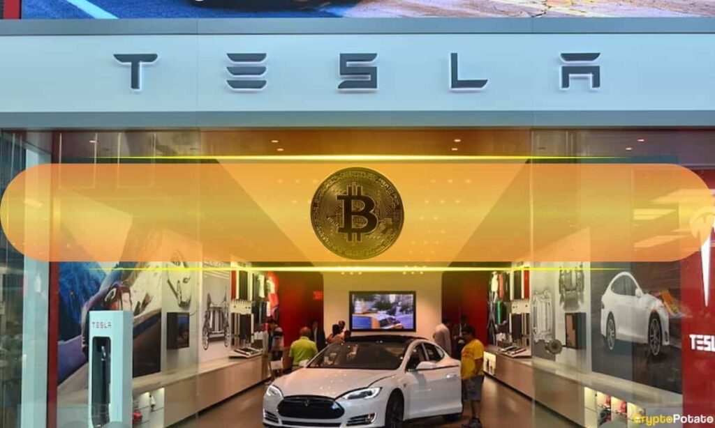 Tesla Bitcoin.jpg