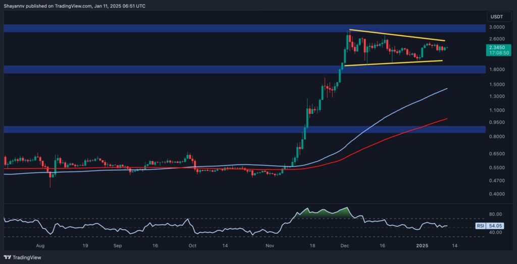 Xrp D 2 Scaled.jpg