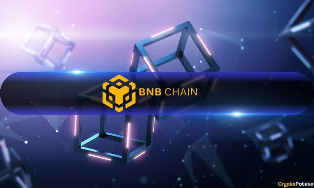 Bnb Chain.jpg