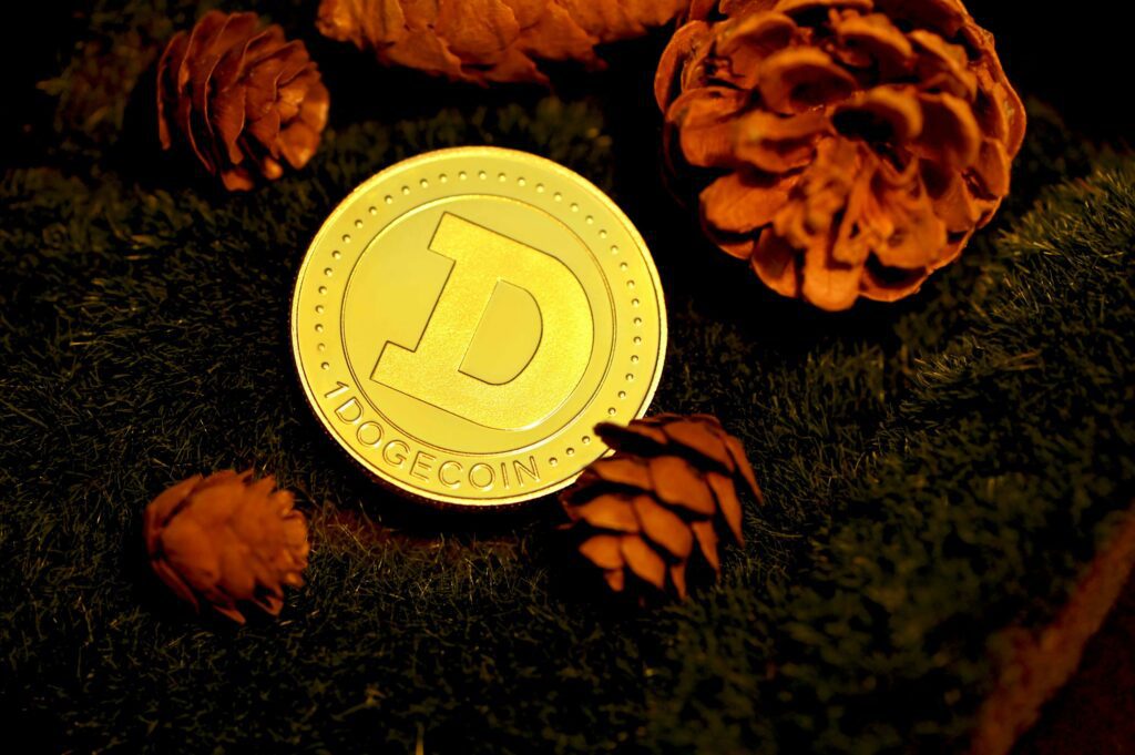 Dogecoin From Unsplash 51.jpg