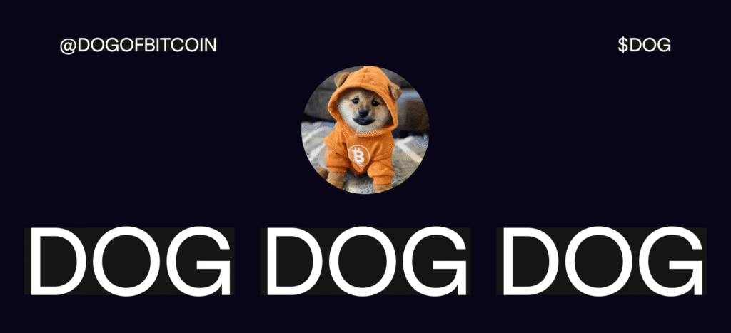 Newasset blog 1 2.png