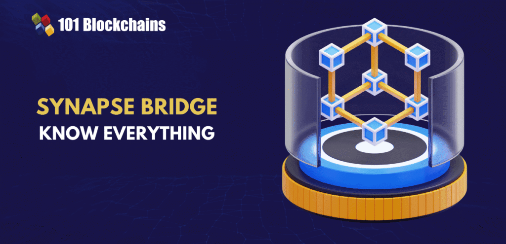 Synapse bridge know everything.png