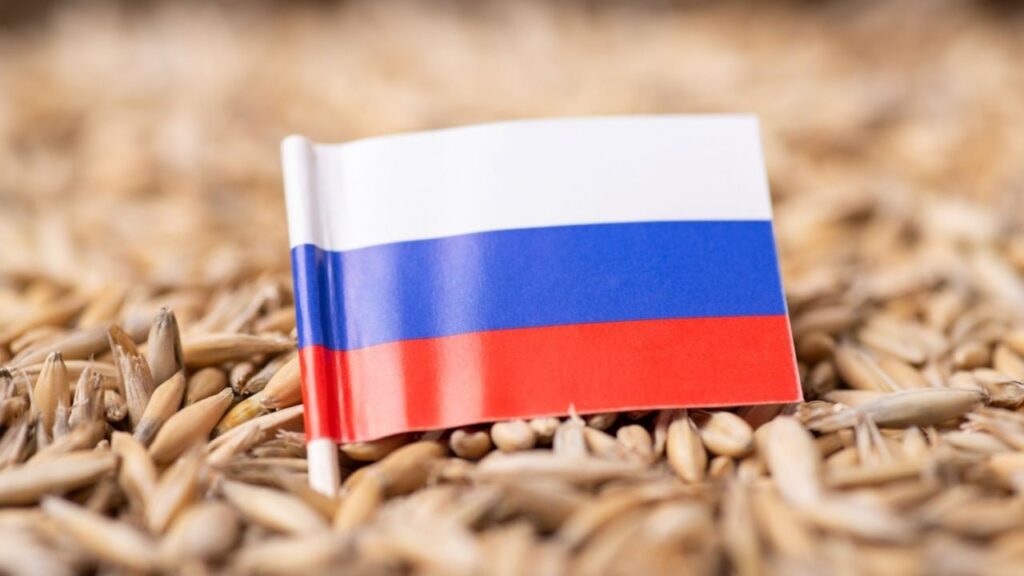 Russian grain crypto.jpg